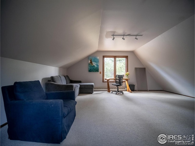 208 Wild Tiger Rd, Boulder, CO 80302 - photo 35