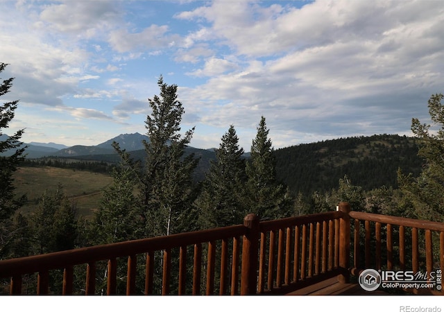 254 Arrowood Dr, Lyons, CO 80540 - photo 3