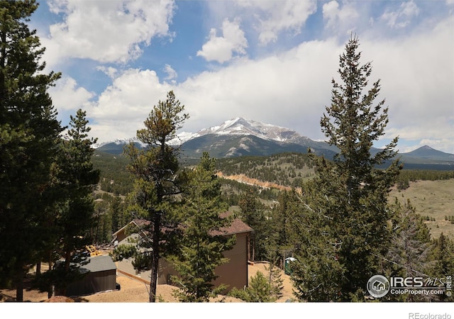 254 Arrowood Dr, Lyons, CO 80540 - photo 18