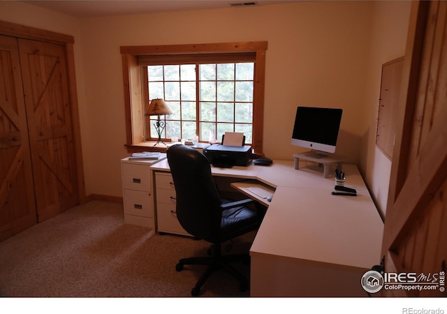 254 Arrowood Dr, Lyons, CO 80540 - photo 21
