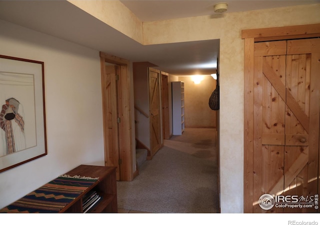 254 Arrowood Dr, Lyons, CO 80540 - photo 23