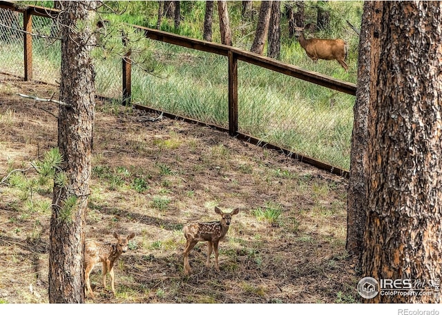 166 Cherokee Rd, Lyons, CO 80540 - photo 24