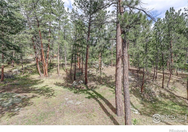 166 Cherokee Rd, Lyons, CO 80540 - photo 25