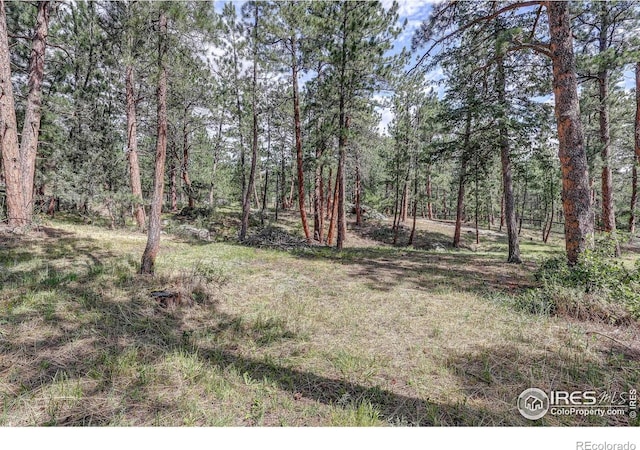 166 Cherokee Rd, Lyons, CO 80540 - photo 35