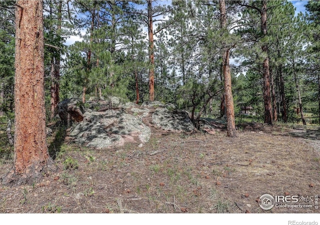 166 Cherokee Rd, Lyons, CO 80540 - photo 36