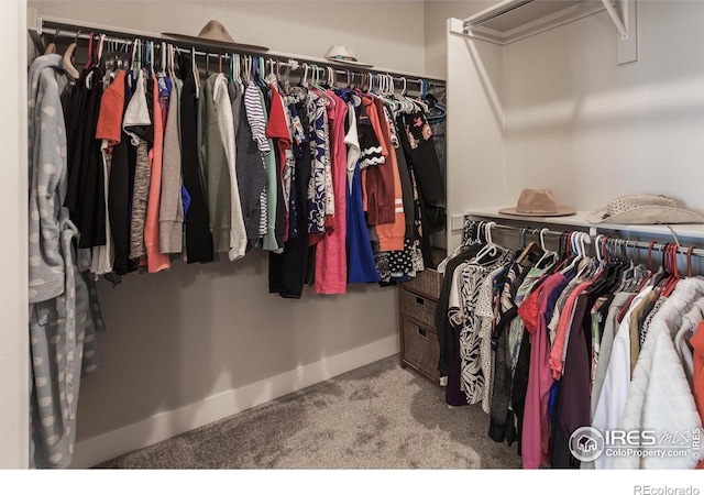 235 High Point Dr Unit 205, Longmont, CO 80504 - photo 28