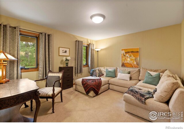 419 Skysail Ln, Fort Collins, CO 80525 - photo 19