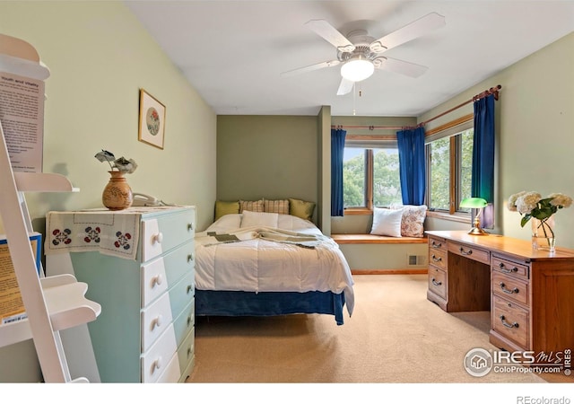 419 Skysail Ln, Fort Collins, CO 80525 - photo 25
