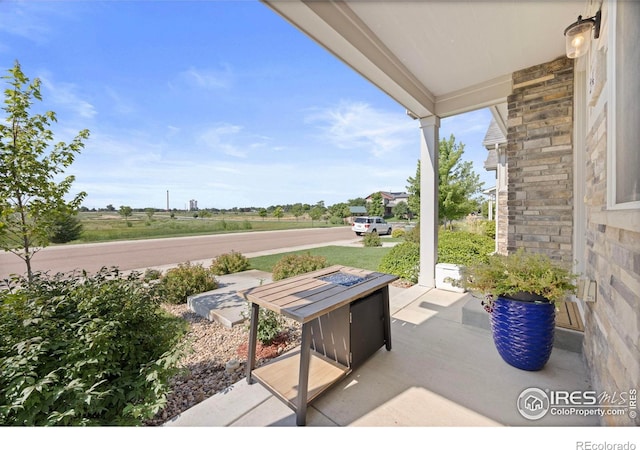 244 Veronica Dr, Windsor, CO 80550 - photo 4