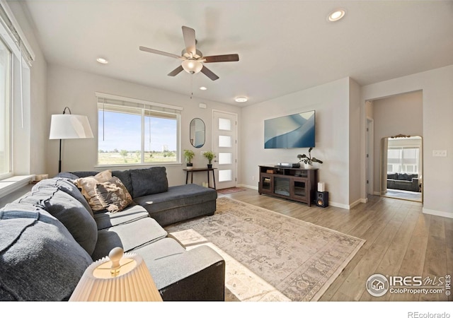 244 Veronica Dr, Windsor, CO 80550 - photo 6