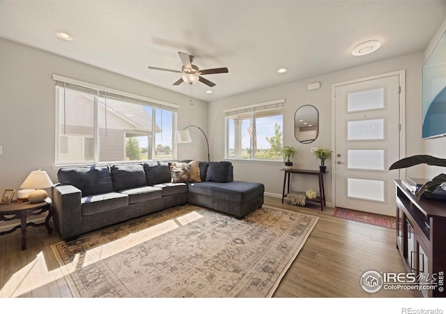 244 Veronica Dr, Windsor, CO 80550 - photo 7