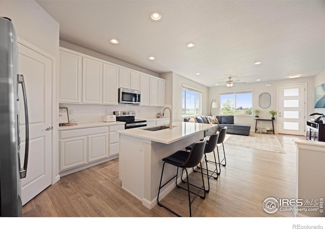 244 Veronica Dr, Windsor, CO 80550 - photo 13