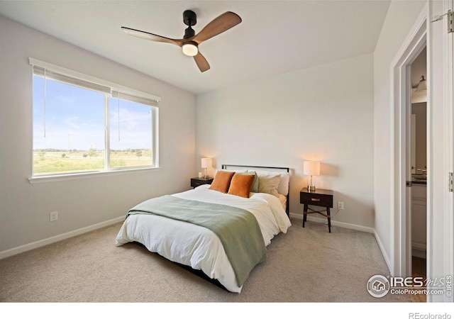 244 Veronica Dr, Windsor, CO 80550 - photo 21