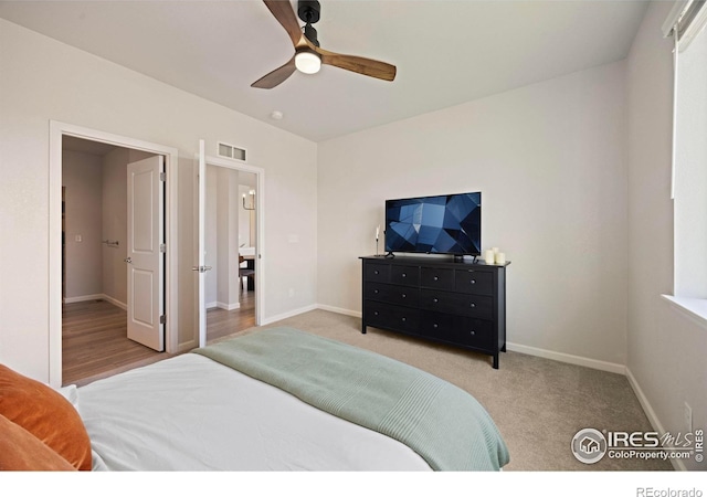 244 Veronica Dr, Windsor, CO 80550 - photo 22