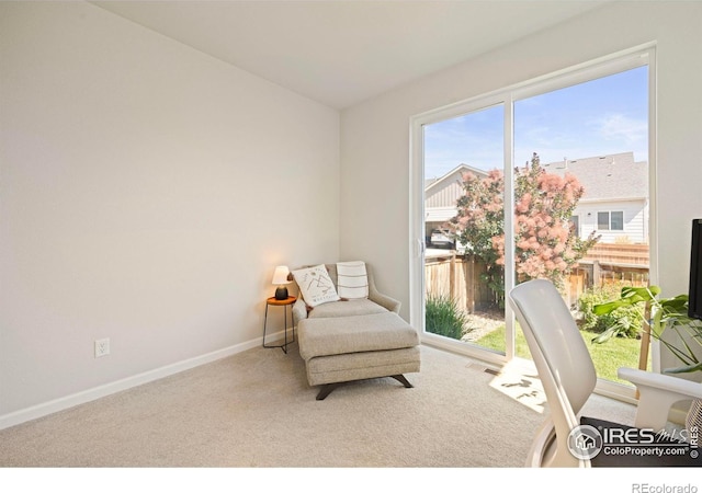 244 Veronica Dr, Windsor, CO 80550 - photo 27