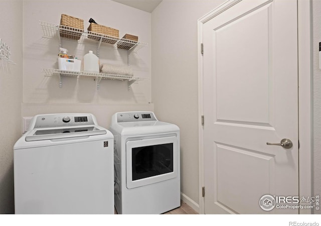 244 Veronica Dr, Windsor, CO 80550 - photo 29