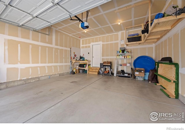 244 Veronica Dr, Windsor, CO 80550 - photo 34