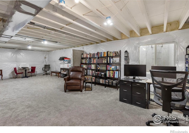 332 Fickel Farm Trl, Berthoud, CO 80513 - photo 28