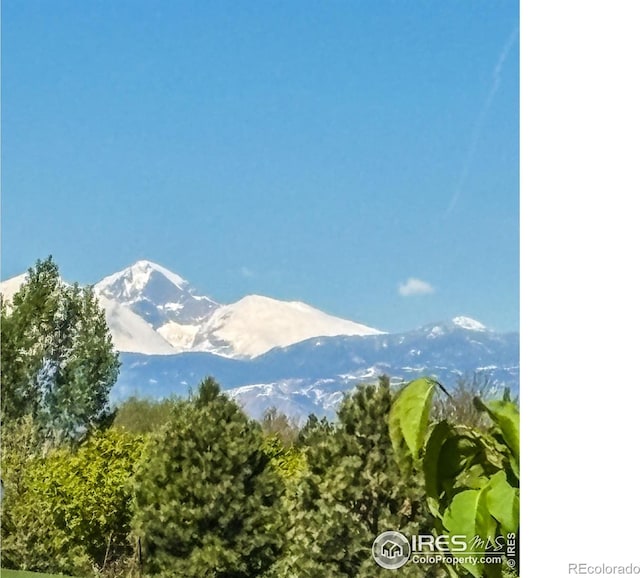 332 Fickel Farm Trl, Berthoud, CO 80513 - photo 38