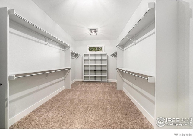 796 Abrams Way, Loveland, CO 80537 - photo 14