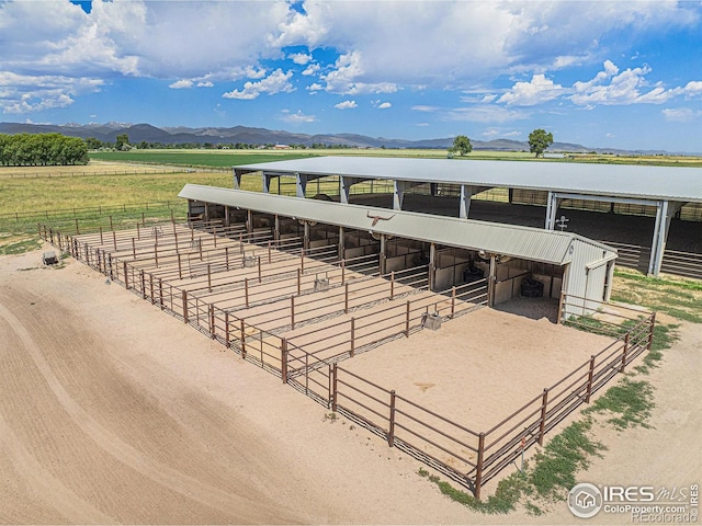 796 Abrams Way, Loveland, CO 80537 - photo 34