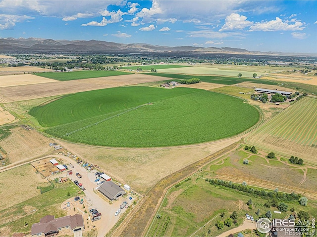 796 Abrams Way, Loveland, CO 80537 - photo 39