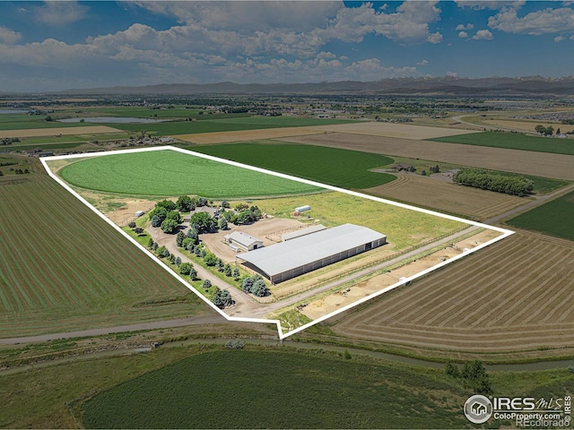 796 Abrams Way, Loveland, CO 80537 - photo 40