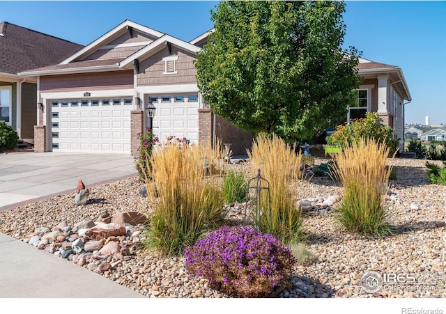 7819 Spruce Ct, Thornton, CO 80602 - photo 2