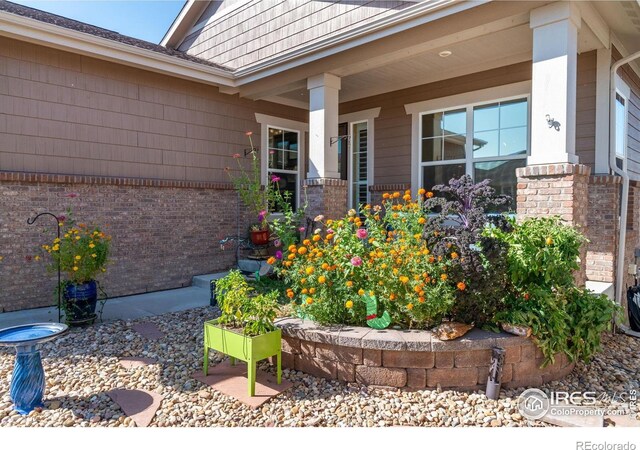 7819 Spruce Ct, Thornton, CO 80602 - photo 3