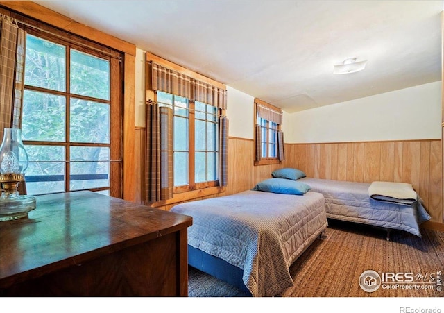 49 Riverside Dr, Lyons, CO 80540 - photo 23