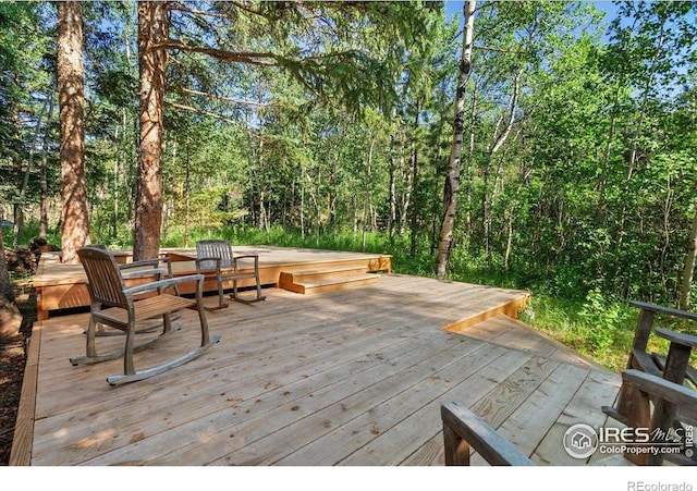 49 Riverside Dr, Lyons, CO 80540 - photo 28