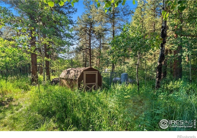 49 Riverside Dr, Lyons, CO 80540 - photo 29
