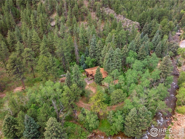 49 Riverside Dr, Lyons, CO 80540 - photo 31