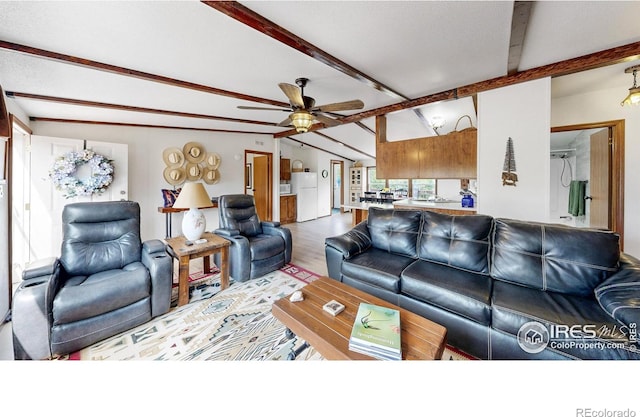 62 Spokane Ct, Red Feather Lakes, CO 80545 - photo 4