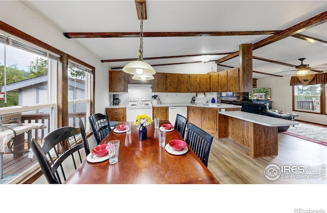 62 Spokane Ct, Red Feather Lakes, CO 80545 - photo 9