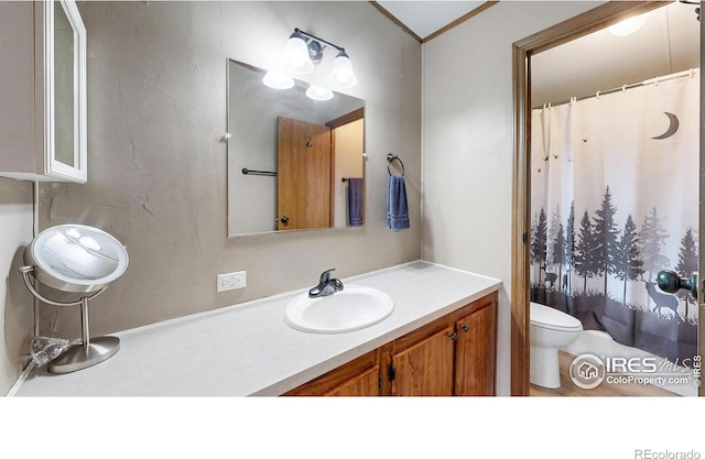 62 Spokane Ct, Red Feather Lakes, CO 80545 - photo 12