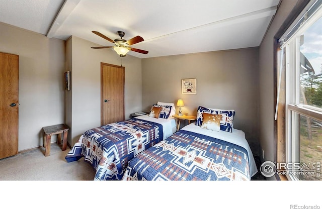 62 Spokane Ct, Red Feather Lakes, CO 80545 - photo 15