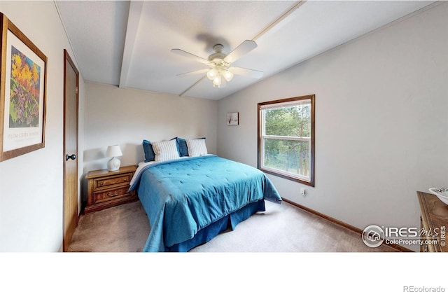 62 Spokane Ct, Red Feather Lakes, CO 80545 - photo 18