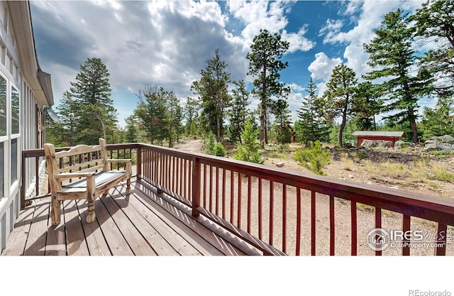 62 Spokane Ct, Red Feather Lakes, CO 80545 - photo 23
