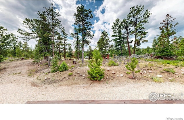 62 Spokane Ct, Red Feather Lakes, CO 80545 - photo 30