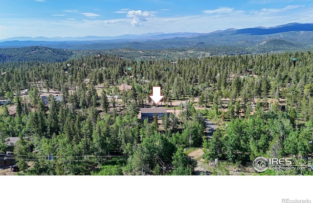 62 Spokane Ct, Red Feather Lakes, CO 80545 - photo 34