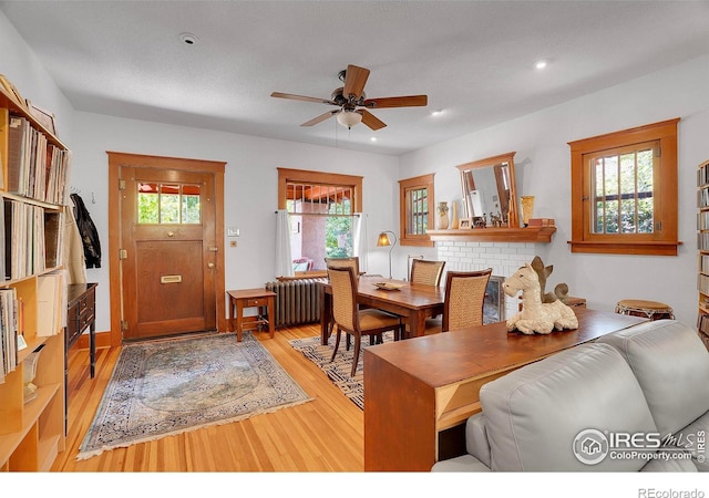 643 Collyer St, Longmont, CO 80501 - photo 5