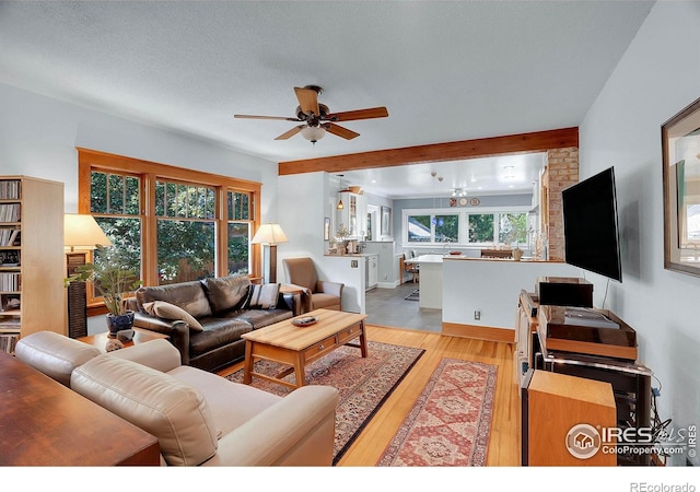 643 Collyer St, Longmont, CO 80501 - photo 6