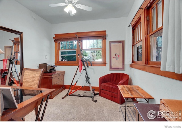 643 Collyer St, Longmont, CO 80501 - photo 16