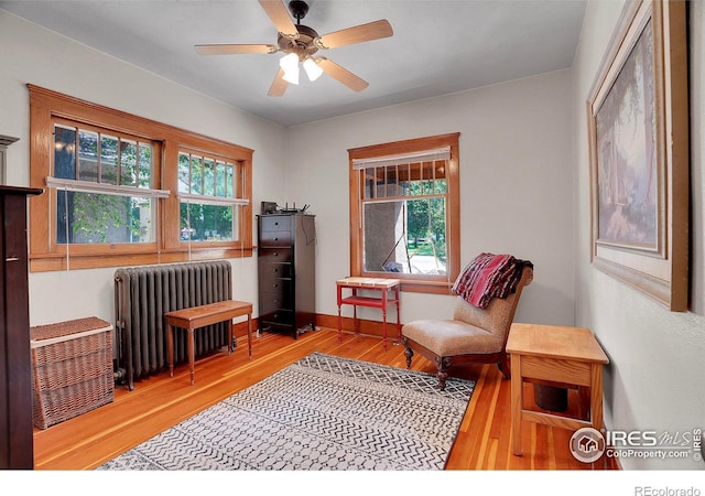 643 Collyer St, Longmont, CO 80501 - photo 20