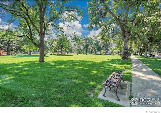 643 Collyer St, Longmont, CO 80501 - photo 39
