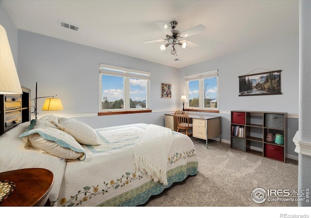 3806 Singletree Ct, Mead, CO 80542 - photo 27