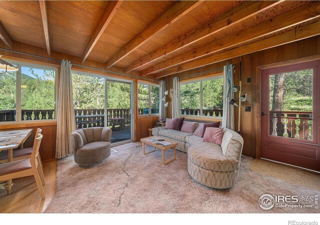66 Circle Dr, Glen Haven, CO 80532 - photo 6