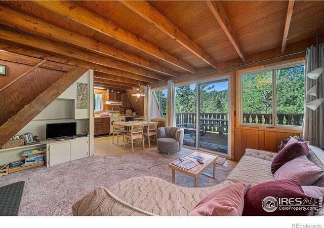 66 Circle Dr, Glen Haven, CO 80532 - photo 10