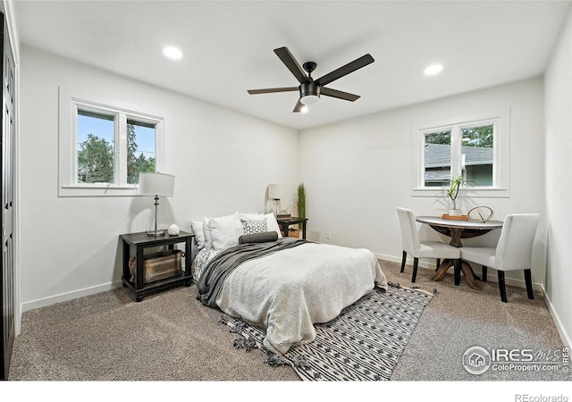 756 Eastdale Dr, Fort Collins, CO 80524 - photo 18